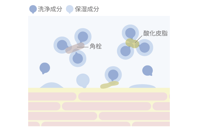 アピテラピ完熟生せっけんを使用した際の肌のイメージ