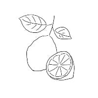 ベルガモットの果実