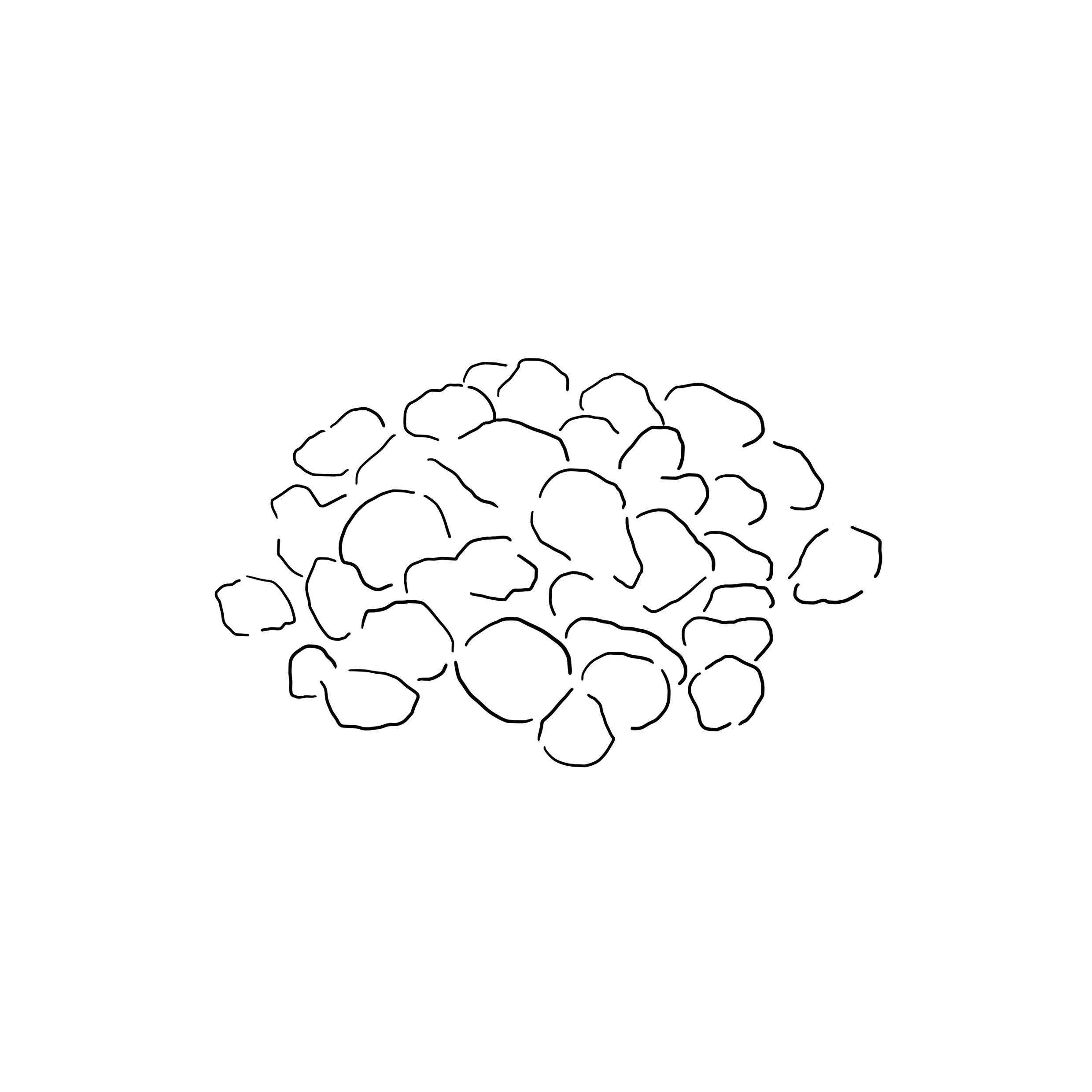フランキンセンス