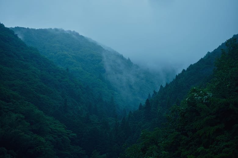アピテラピのABOUT里山のページ 緑豊かな自然が広がる里山の風景