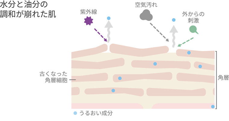 皮脂膜がなくなり、水分と油分の調和が崩れた肌