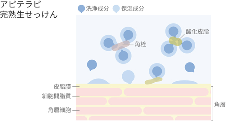 アピテラピ完熟生せっけんのうるおいクッション構造