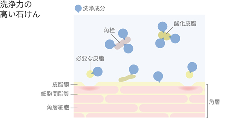 必要な皮脂膜を失った肌