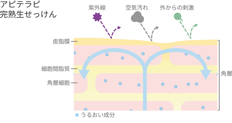 疑似皮脂膜が形成された肌