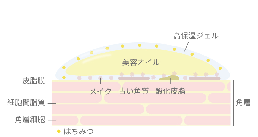 高保湿のアピテラピクレンジングジェルオイルが肌に密着している図