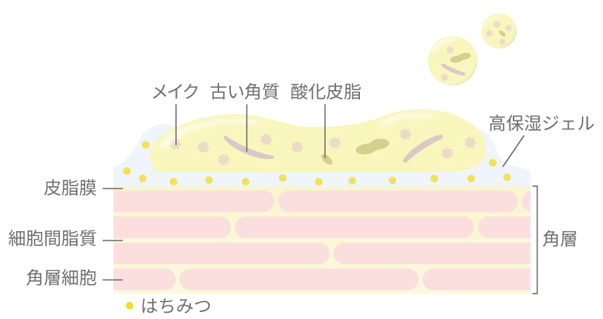 はちみつ発酵液が不要な角質をゆるめる様子の図