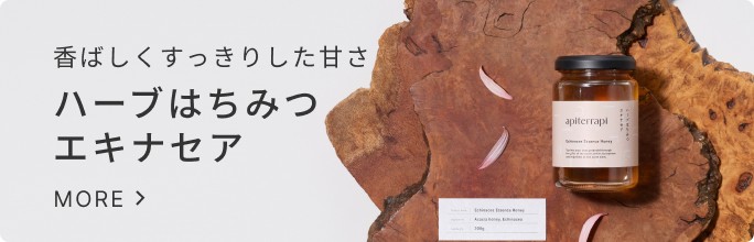 クリックするとアピテラピハーブはちみつエキナセア特集ページへ